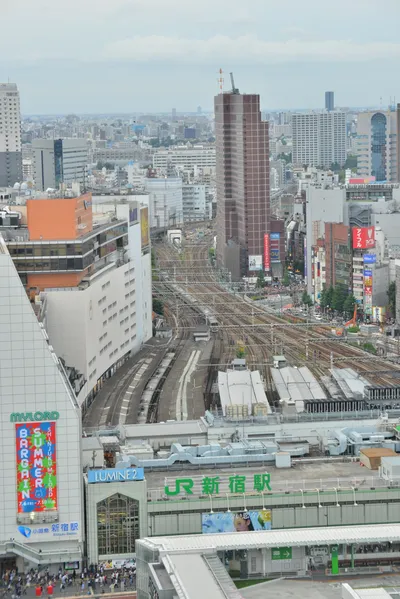 DSC_4037 (Large).JPG